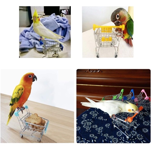 Mini Shopping Cart Bird Training Toy for Parrot Parakeet Budgie Cockatiel 1piece - Picture 2 of 3